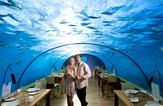 Restaurantes raros: El Restaurante submarino “Ithaa” 