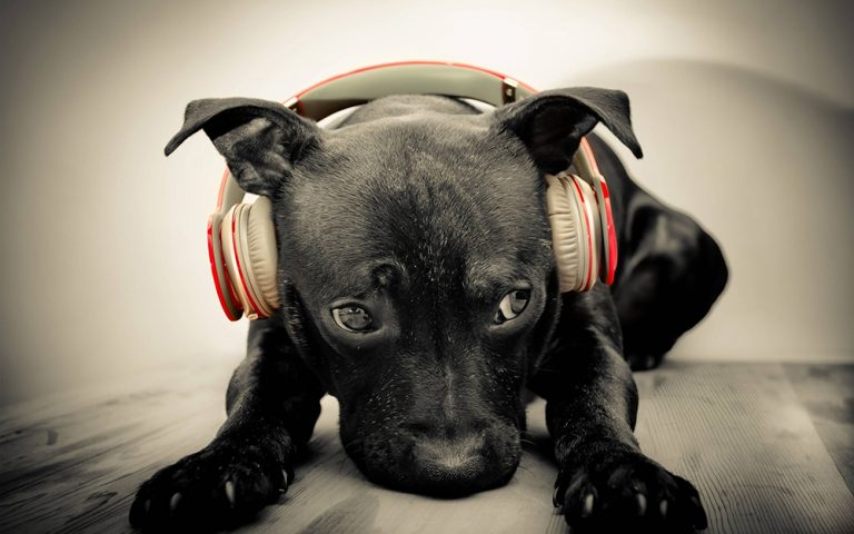 Música Triste